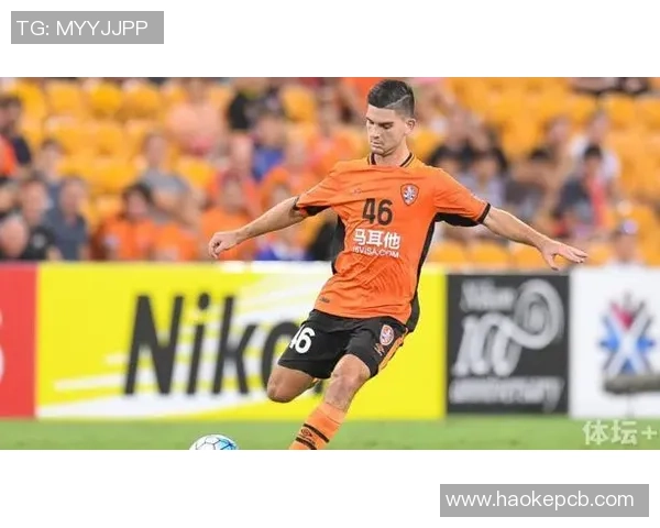 申花与狮吼比赛盘路分析及投注策略探讨