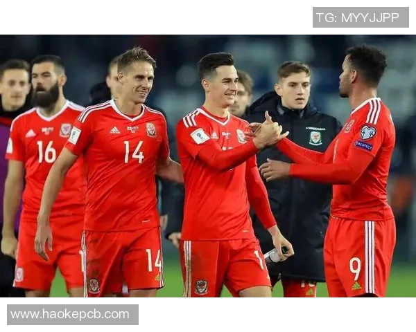 瑞士与格鲁吉亚欧预赛对决前瞻分析及双方阵容预测