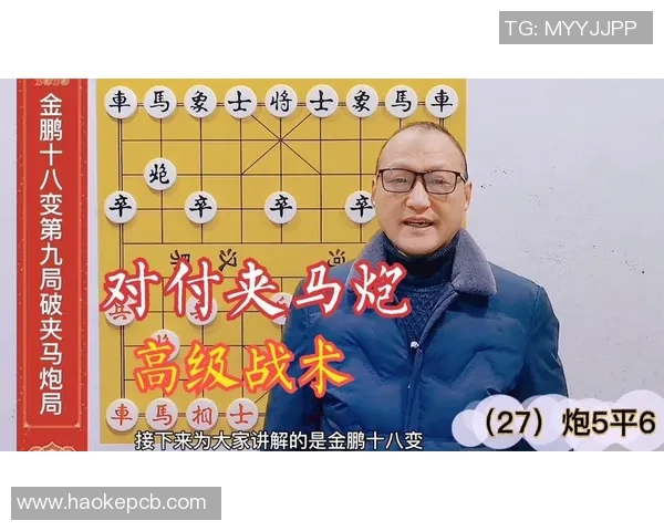 成都排球队整体压制打法解析与战术优势深度剖析